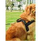 hot sale nylon small and medium-sized large dog rope dog leash pet leash