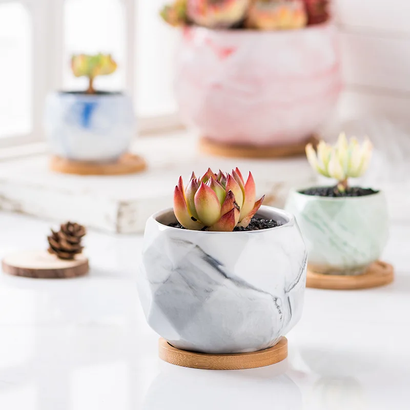 Hot Sale Mini Desktop Potted Flower Pot Home Creative Flower Pot Wholesale, Gray/pink/green/blue
Hot Sale Mini Desktop Potted Flower Pot Home Creative Flower Pot Wholesale, Gray/pink/green/blue