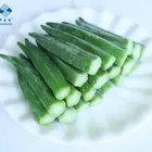 2019 New Crop Origin Fujian China IQF Frozen Vegetable Okra Whole with favorable price