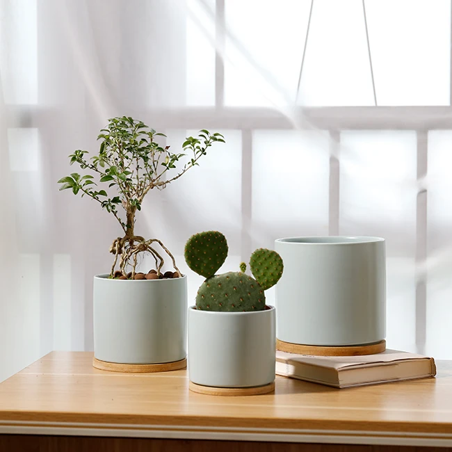 European style ceramic flowerpot juicy plant flowerpot home office decoration garden supplies, Customized color
European style ceramic flowerpot juicy plant flowerpot home office decoration garden supplies, Customized color