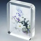 Clear Acrylic Photo Frame/Acrylic Picture Frame with Mangets