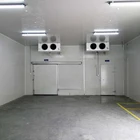 cooked food cheese turkey cooling room cold room freezer for sale