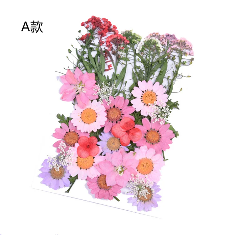 Daimay 35 PCS Natural Dried Flowers Real Pressed Flowers Multiple Mixed Assorted Colors for DIY Resin Jewelry Flower Decorations
Daimay 35 PCS Natural Dried Flowers Real Pressed Flowers Multiple Mixed Assorted Colors for DIY Resin Jewelry Flower Decorations