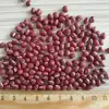 /product-detail/china-wholesales-adzuki-beans-small-red-beans-bamboo-beans-for-sale-62267095556.html