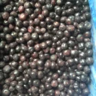 High quality iqf frozen blueberry with good price