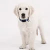 GPS Satellite Google Map Pet Location Tracking Dog Finder Mini GPS Pets Tracker For Dog