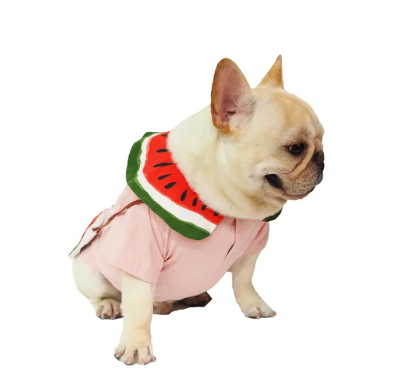 Pure Cotton Pet Summer T-shirt Little Watermelon Printed Pet Shirt Pet Clothes, Pink
Pure Cotton Pet Summer T-shirt Little Watermelon Printed Pet Shirt Pet Clothes, Pink