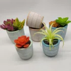 Pots Pot Modern Colorful Cement Plant Pots Bonsai Pot Mold Cement Pot Planter Cement Pot Round