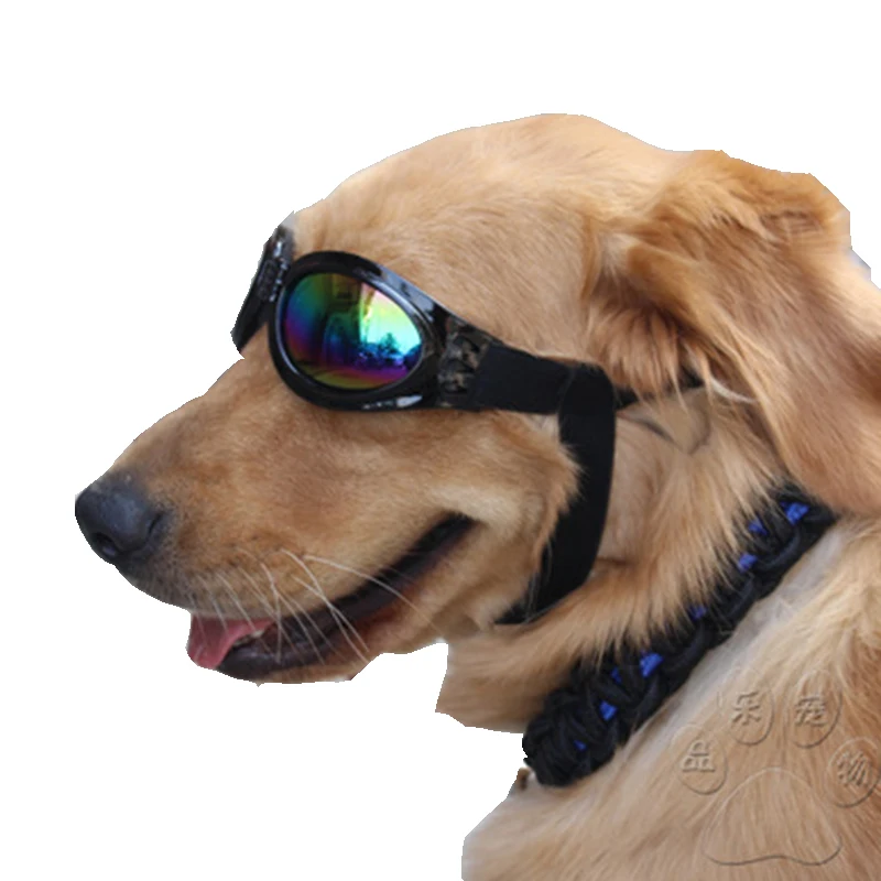 Folding dog sunglasses pet supplies 2021 for medium large pets doggy UV400 sun glasses gafas para mascotas accesorios, As pictures
Folding dog sunglasses pet supplies 2021 for medium large pets doggy UV400 sun glasses gafas para mascotas accesorios, As pictures