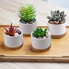 Ceramic Pot Pots White Small Ceramic Flower Planter Pot With Bamboo Tray Mini Ceramic Flower Pots