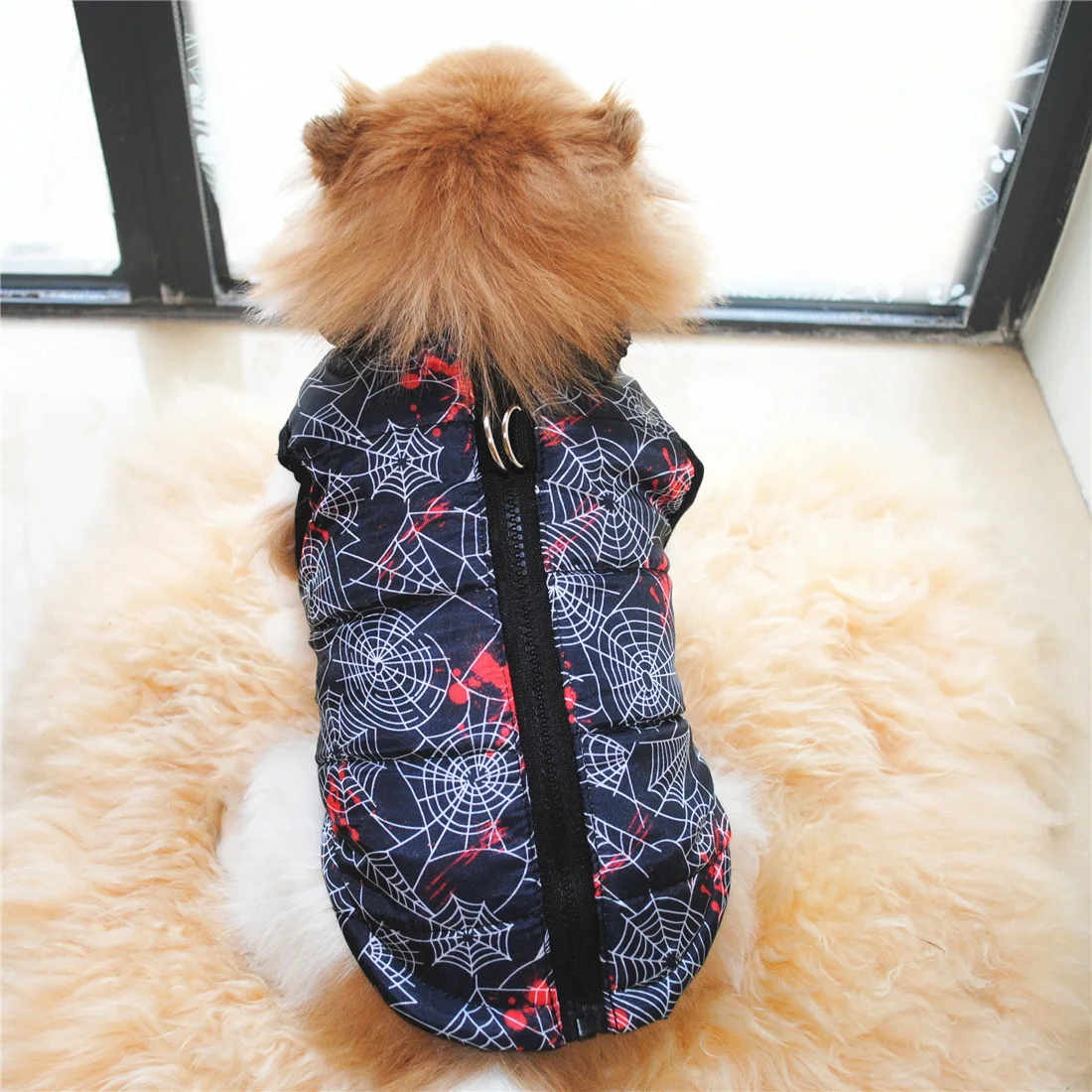 Spiderweb Printed Pet Coat Available For Autumn/Winter Puppy Vest Coat
Spiderweb Printed Pet Coat Available For Autumn/Winter Puppy Vest Coat