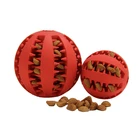 pet chew teeth clean rubber pet toothbrush dog bone brush stick chew toy set watermelon dog chew toy