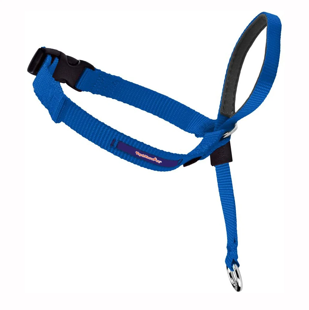 Custom Luxury Designers Pet Collars for Dogs Waterproof Nylon Supplies Personalized Pets Headcollar No Pull Dog Collar, Customized color
Custom Luxury Designers Pet Collars for Dogs Waterproof Nylon Supplies Personalized Pets Headcollar No Pull Dog Collar, Customized color