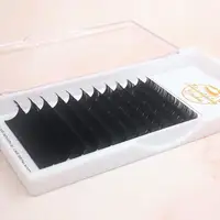 0.20 mm D curl 8-15 mm mixed private label eyelashes extensions premium silk lashes
0.20 mm D curl 8-15 mm mixed private label eyelashes extensions premium silk lashes