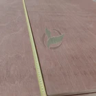 Keruing 4x8 Phenolic Plywood for Container Floor Boards
