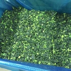Frozen Iqf Cut Frozenfrozen Frozen IQF Cut Spinach Leaves