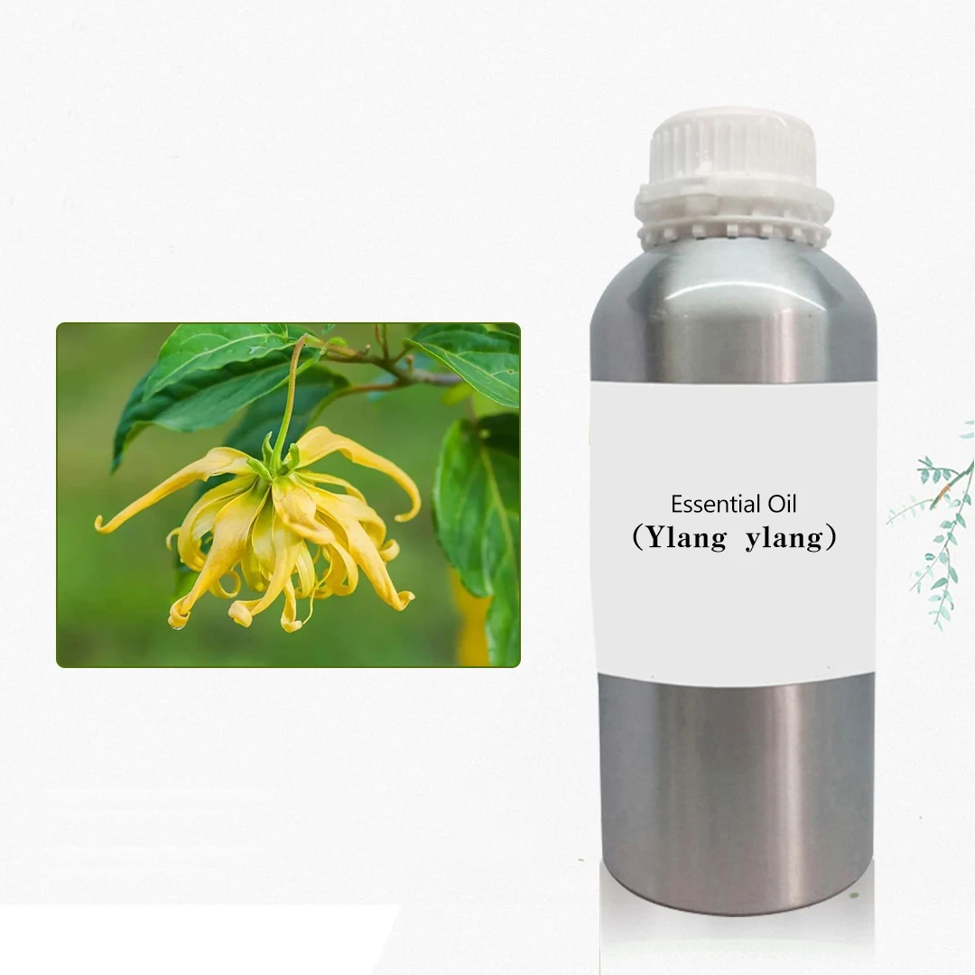 Ylang Ylang Oil 100% Pure Essential Oils for Office/House/Spa-massage/bath/candle making Use Essential Oil (new)
Ylang Ylang Oil 100% Pure Essential Oils for Office/House/Spa-massage/bath/candle making Use Essential Oil (new)