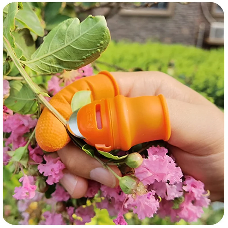 Gardening Silicone Thumb Knife Finger Protector Vegetable Harvesting Knife Garden Tools, Orange
Gardening Silicone Thumb Knife Finger Protector Vegetable Harvesting Knife Garden Tools, Orange