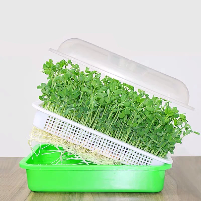 Wholesale Popular Home Vegetable Planting PP Durable Plastic Sprouting Tray, Green and white, or custom
Wholesale Popular Home Vegetable Planting PP Durable Plastic Sprouting Tray, Green and white, or custom