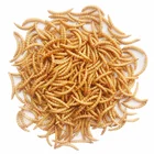 High Protein Dried Mealworms original nutritional supplement