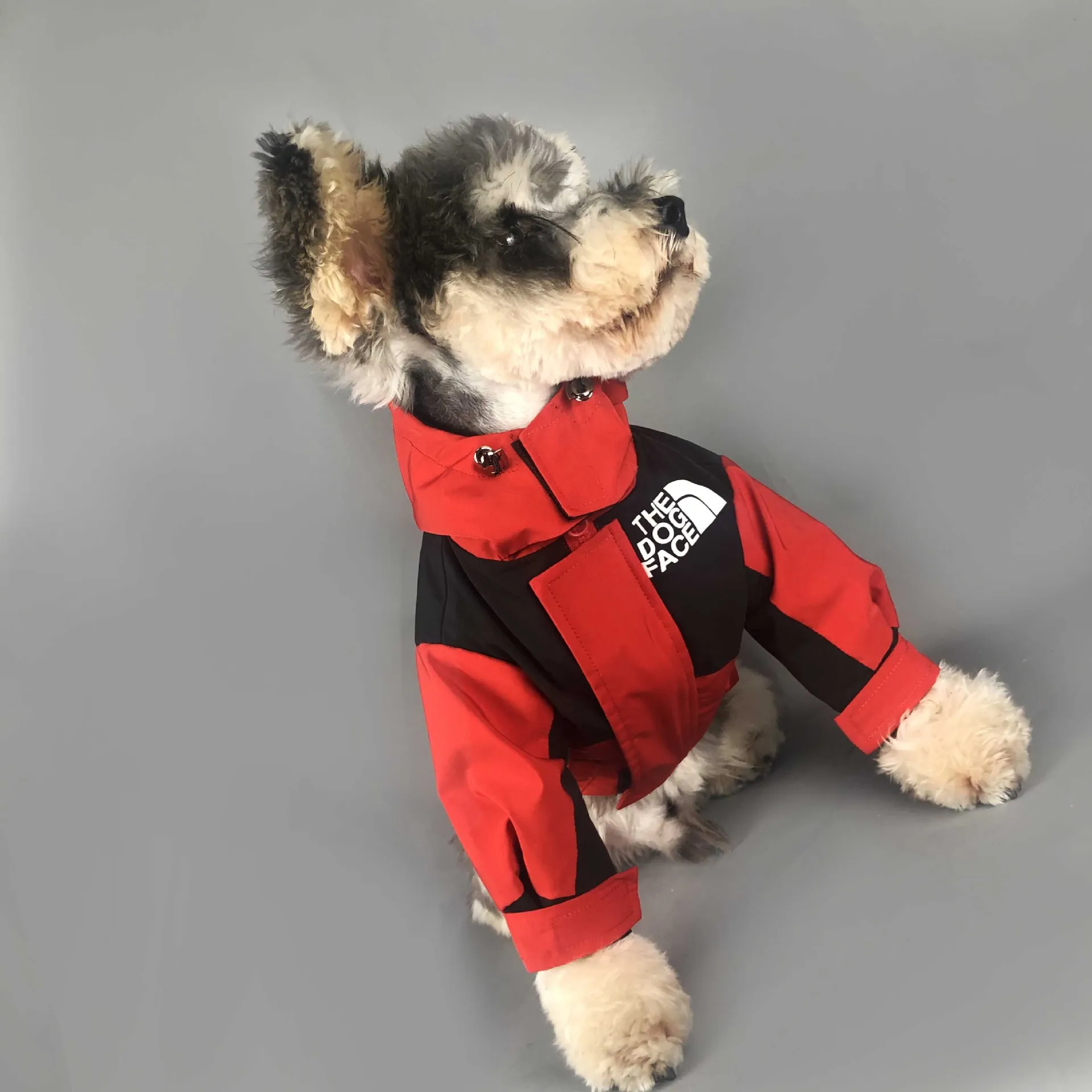 Manufacturers wholesale pet clothing Popular logo for dogs in autumn and winter New style pet clothes
Manufacturers wholesale pet clothing Popular logo for dogs in autumn and winter New style pet clothes