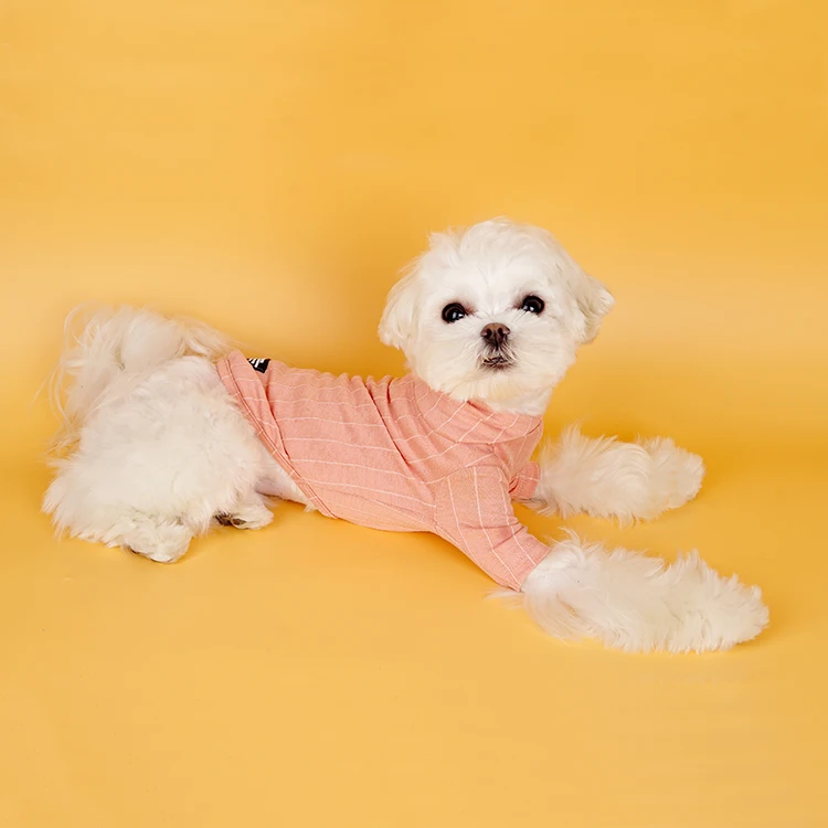 Three Colors Classic Simple Strip Soft Designer Pet Dog Clothes Onesie For Dogs And Couples
Three Colors Classic Simple Strip Soft Designer Pet Dog Clothes Onesie For Dogs And Couples