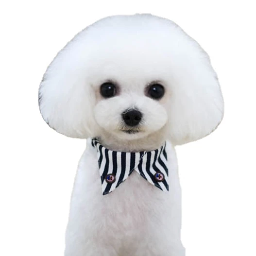 Pet scarf with collar dog bibs teddy fighting classic pattern
Pet scarf with collar dog bibs teddy fighting classic pattern