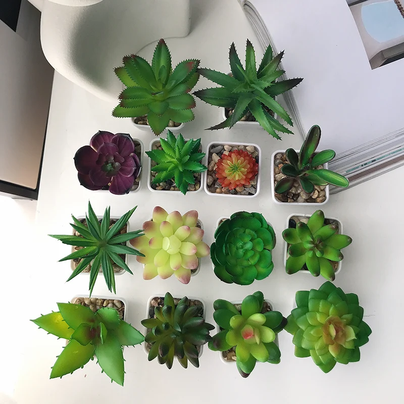 Mini office decoration desktop faux artificial plastic succulent plants with pots, Green red, as photo
Mini office decoration desktop faux artificial plastic succulent plants with pots, Green red, as photo