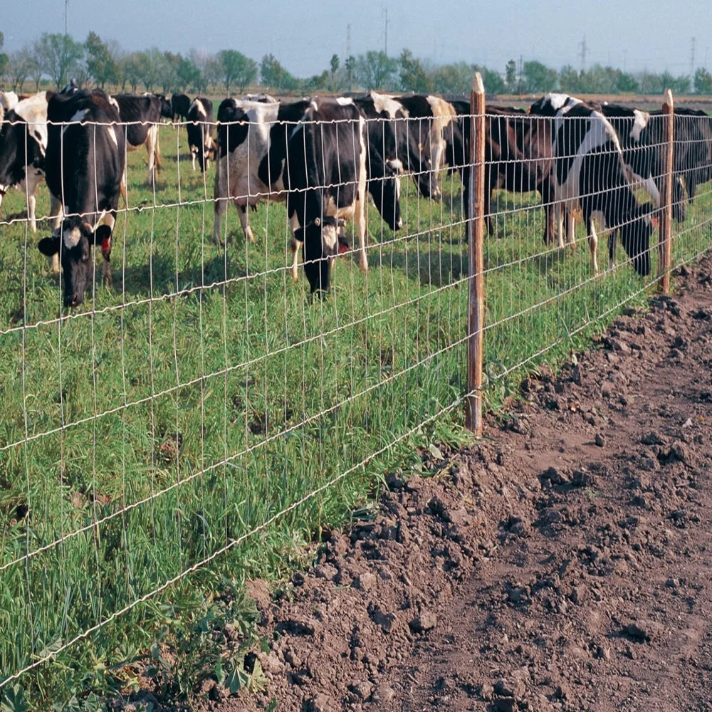 field farm cattle fencing