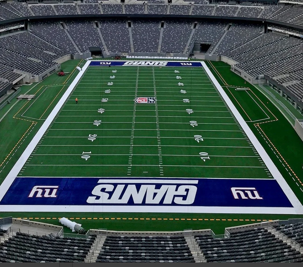 customized field made NWT artificial grass for outdoor indoor sports field and gym room
customized field made NWT artificial grass for outdoor indoor sports field and gym room