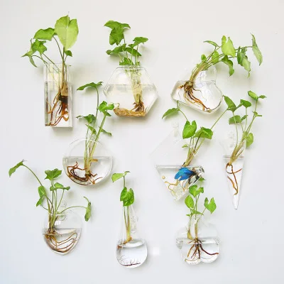 Wholesale Hydroponic Container Wall Hanging Transparent Glass Vase Home Decoration Wall-mounted Hydroponic Glass Vase
Wholesale Hydroponic Container Wall Hanging Transparent Glass Vase Home Decoration Wall-mounted Hydroponic Glass Vase