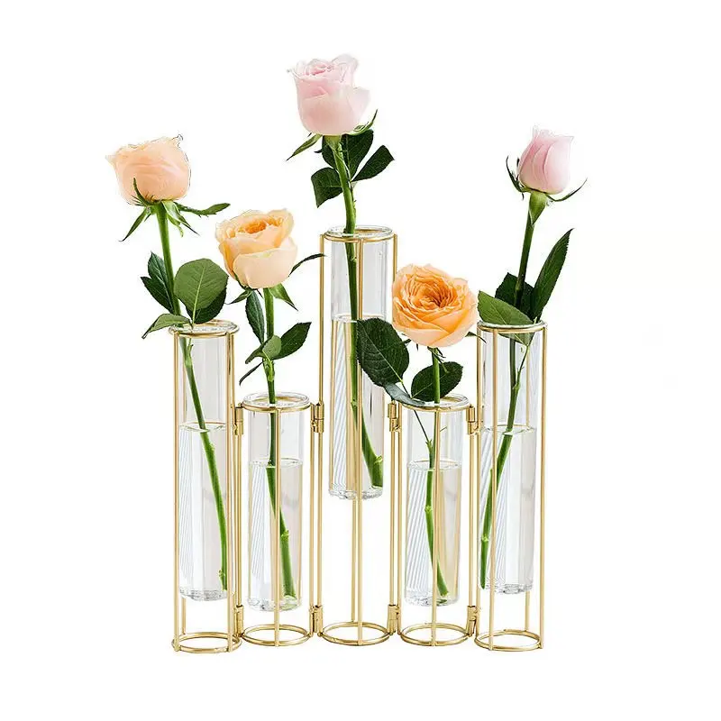 Nordic ins golden glass test tube vase office desktop creative decoration flower arrangement hydroponic plant container, Gold
Nordic ins golden glass test tube vase office desktop creative decoration flower arrangement hydroponic plant container, Gold
