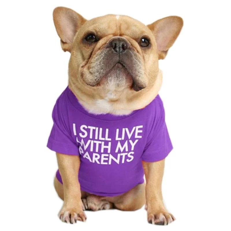 Factory OEM Pet Supplies Direct Sale Pure Color Small Summer Pet Clothes Security Custom Print Logo Dog T Shirts
Factory OEM Pet Supplies Direct Sale Pure Color Small Summer Pet Clothes Security Custom Print Logo Dog T Shirts