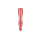 2019 Home Use Nano Chip Derma Pen Micro needle Derma Roller Pen Electric Micro Nano Tip Needling DermaPen Cartridge
