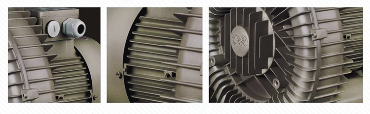 Regenerative Blower, LG-429, 1.75kw, 2.5hp - detail 18