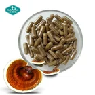 Immune Booster Supplements Ginseng Mushroom Reishi Capsules