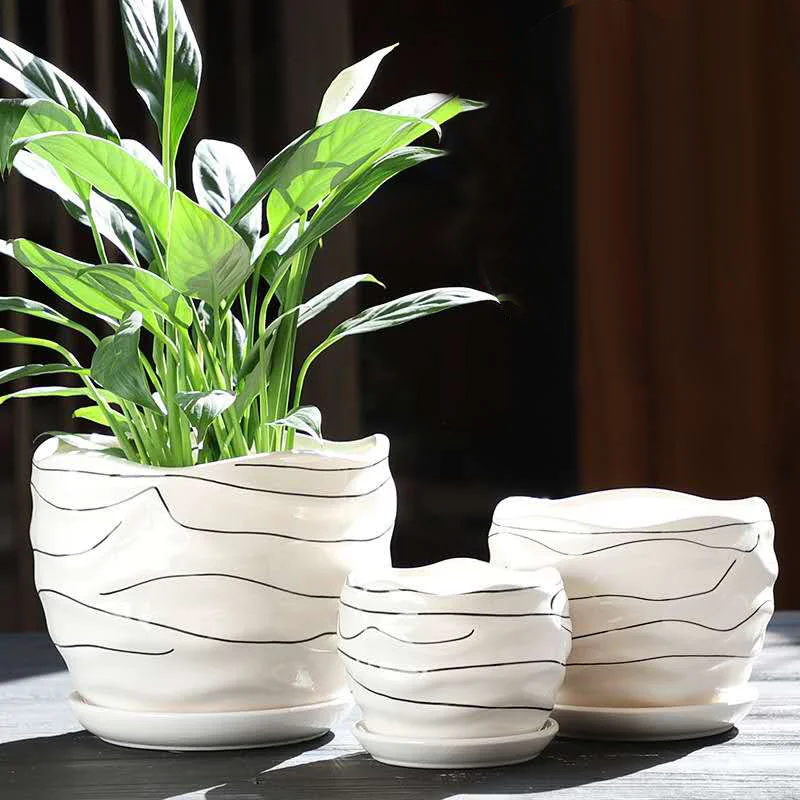 Hot Sale Decorative Home Decor office flower pot home Plant Stand large Ceramic Flower pot, White
Hot Sale Decorative Home Decor office flower pot home Plant Stand large Ceramic Flower pot, White