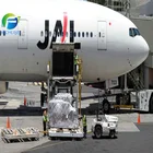ドロップシッピング航空貨物フォワーダー剤無料貨物レート無料ハイチ高速 dhl エクスプレスサービスへの中国から無料