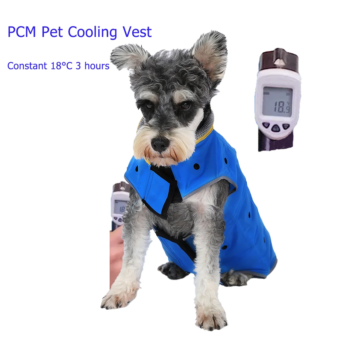 Top Quality Fast Shipping Great Cool Performance Pet Cooling Vest for Wholesale in China
Top Quality Fast Shipping Great Cool Performance Pet Cooling Vest for Wholesale in China