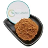 /product-detail/factory-supply-best-price-organic-natural-goji-berry-powder-62029718915.html