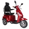 OEM factory customized Travel 3 wheeled adult electric Motorized tricycles scooters
