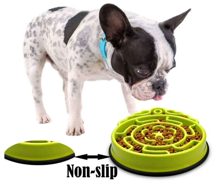 Trendy Feeding Bowl Eating Anti Choking Pet Products Non Skid Plastic Pet Bowl Cat Dog Feeder Pet Food Bowl Container, Blue.green
Trendy Feeding Bowl Eating Anti Choking Pet Products Non Skid Plastic Pet Bowl Cat Dog Feeder Pet Food Bowl Container, Blue.green