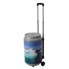 Plastic custom Beer bucket ice cooler box with wheel