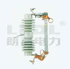 High Types Ceramic Fuses Ceramic Fuses Electrical Equipment Supplies Drop-out Types Ceramic Fuses