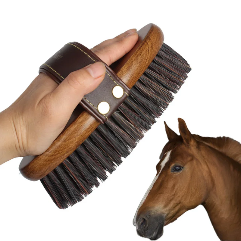 Natural Hair Body Mane Black Groom Hard Luxury Wooden Personalised Round Long Bristle Magic Tail Grooming Kit Hair Horse Brush
Natural Hair Body Mane Black Groom Hard Luxury Wooden Personalised Round Long Bristle Magic Tail Grooming Kit Hair Horse Brush