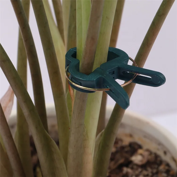 Garden Clamp Reusable Garden Plastic Small Cane Tie Plant Support Spring Clips, As picture
Garden Clamp Reusable Garden Plastic Small Cane Tie Plant Support Spring Clips, As picture