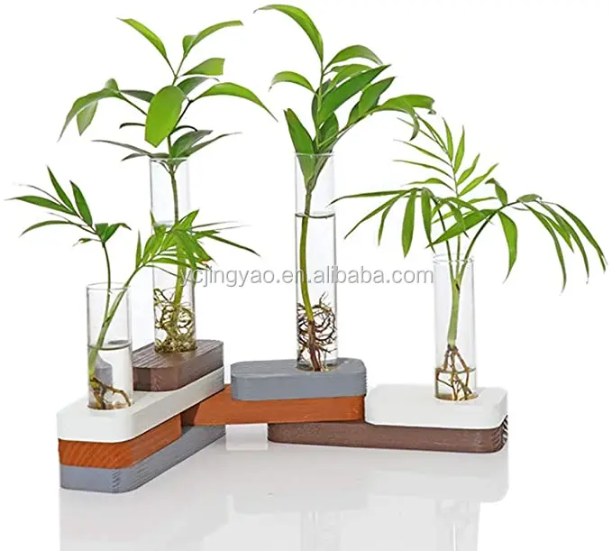 Desktop Glass Planter Test Tube Vase with Building Blocks Transformation DIY Wooden Stand for Plants Home Garde Wedding, Clear
Desktop Glass Planter Test Tube Vase with Building Blocks Transformation DIY Wooden Stand for Plants Home Garde Wedding, Clear