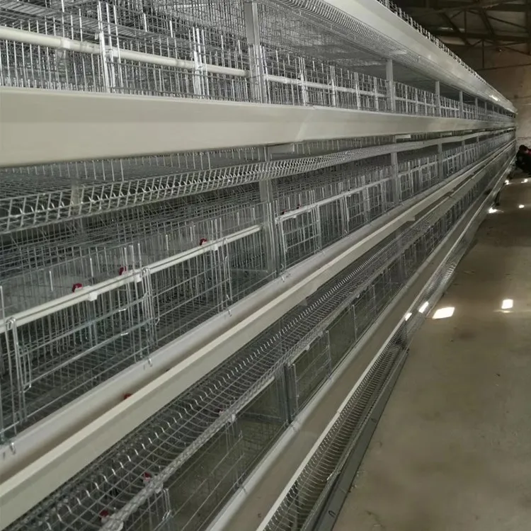 Full automatic Chicken Farm Equipment chicken broiler cage for egg layer poultry farm