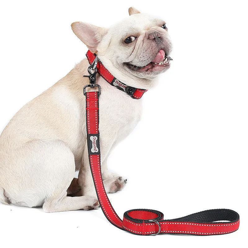New Pet Supplies Dropshipping Comfortable Reflective Strong Big Dog Leash, Customized color
New Pet Supplies Dropshipping Comfortable Reflective Strong Big Dog Leash, Customized color