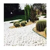 /product-detail/landscaping-decor-wash-finish-polish-floor-china-round-granite-white-color-pebble-stone-for-garden-paver-60253762842.html